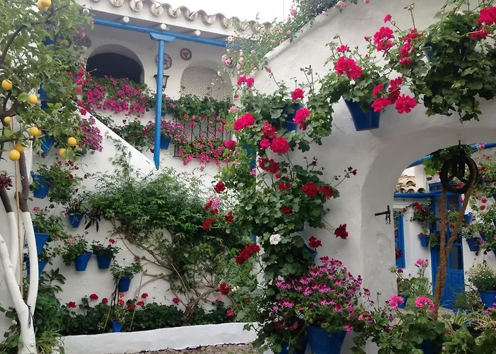 Patio San Lorenzo Cordoba