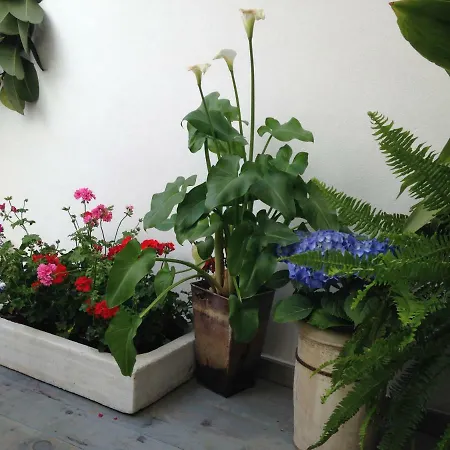 Patio San Lorenzo *