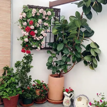 Patio San Lorenzo